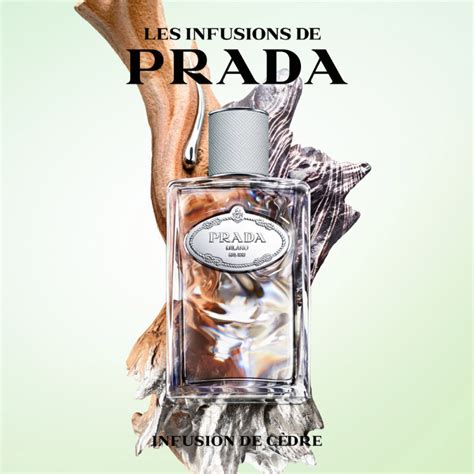 prada infusion de cedre|prada infusion cedar.